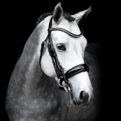 Schockmöhle Venice Anatomische Kandare Mit Kristallen -Weatherbeeta Shop 313790 BL SI 3