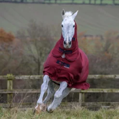 Bucas Freedom Turnout Light Fullneck Pony Regendecke Mit Festem Halsteil -Weatherbeeta Shop 316869 CRE 2