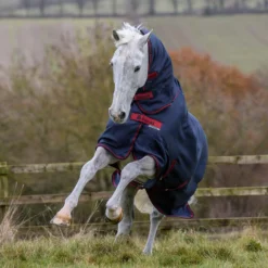 Bucas Freedom Turnout Light Fullneck Pony Regendecke Mit Festem Halsteil -Weatherbeeta Shop 316869 GDG 2