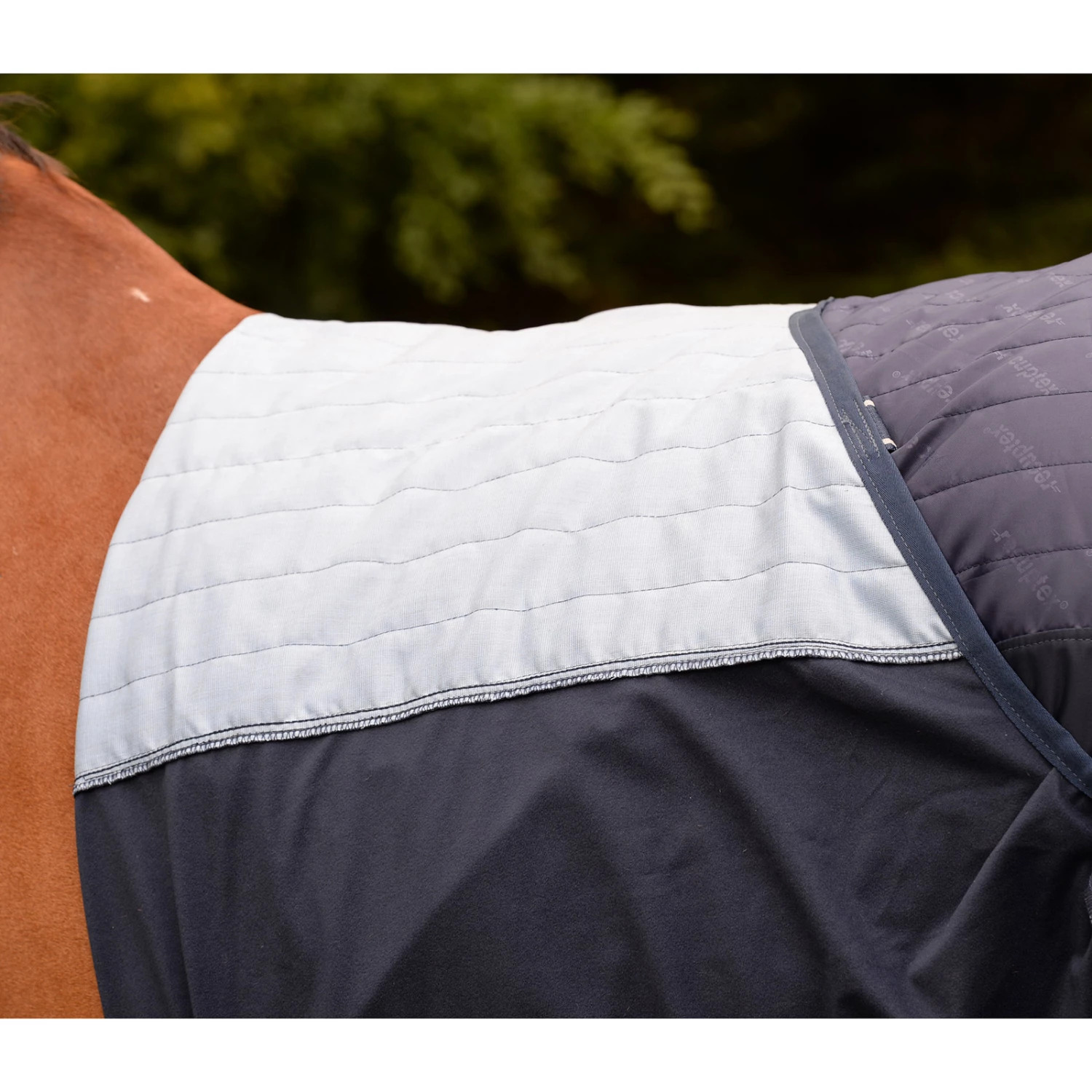 Bucas Therapy Cooler Abschwitzdecke 4 Bucas Therapy Cooler Abschwitzdecke – Bild 2