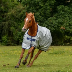 Bucas Power Turnout Regendecke Mit Abschwitzfunktion, 0g -Weatherbeeta Shop 316892 SI DB 3