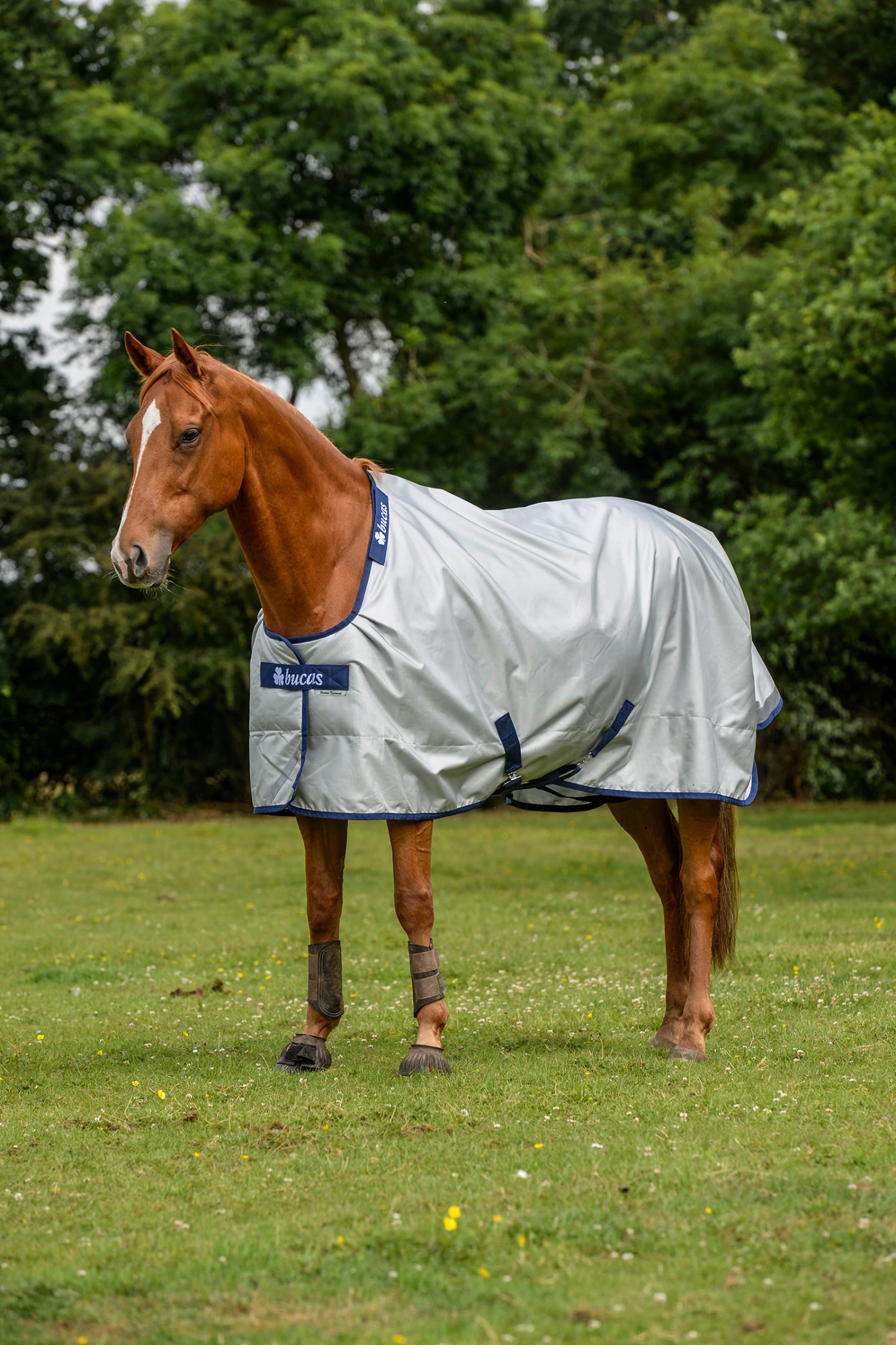 Bucas Power Turnout Big Neck Regendecke Mit Abschwitzfunktion, 0g 3 Bucas Power Turnout Big Neck Regendecke Mit Abschwitzfunktion, 0g
