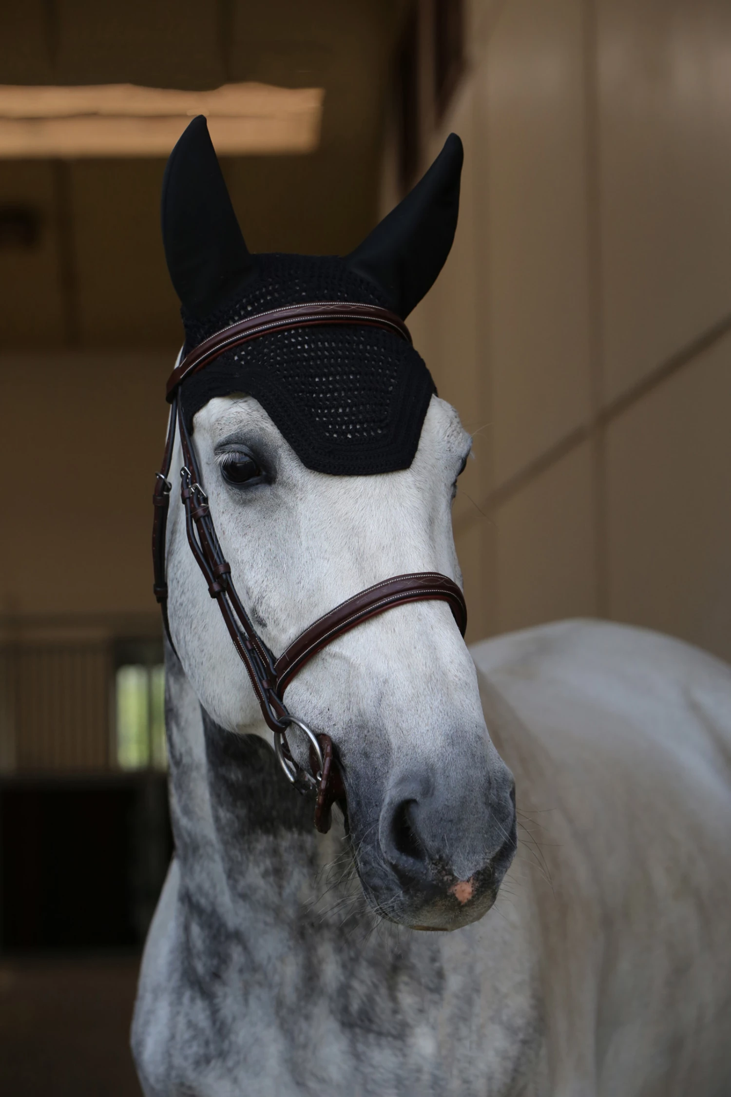 Kentucky Horsewear Wellington Fliegenhaube Schalldicht 3 Kentucky Horsewear Wellington Fliegenhaube Schalldicht