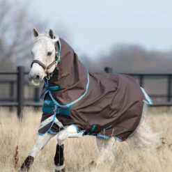 Horseware Amigo Bravo 12 Pony Weidedecke Inkl. Abnehmbarem Halsteil, 0g -Weatherbeeta Shop 320362 DG B 2