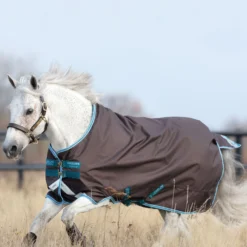 Horseware Amigo Bravo 12 Pony Weidedecke Inkl. Abnehmbarem Halsteil, 0g -Weatherbeeta Shop 320362 DG B 3