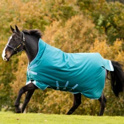 Horseware Amigo Bravo 12 Regendecke Mit Hohem Hals, 0g -Weatherbeeta Shop 320364 STGR 01