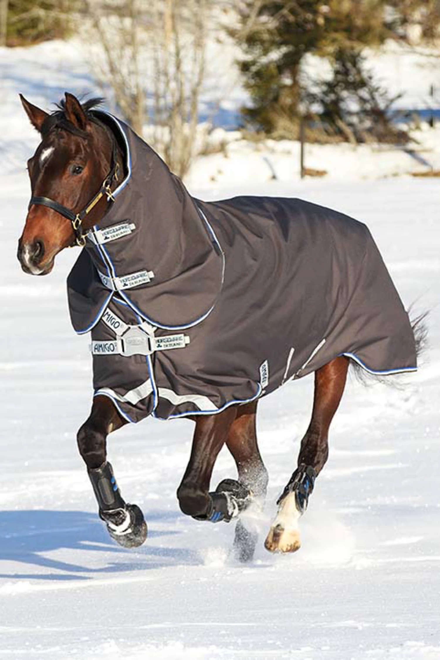 Horseware Amigo Bravo 12 Plus Weidedecke Disc-Verschluss, 250g 3 Horseware Amigo Bravo 12 Plus Weidedecke Disc-Verschluss, 250g