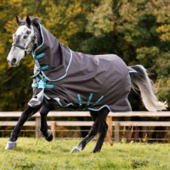 Horseware Amigo Bravo 12 Plus Weidedecke Disc-Verschluss, 250g 12 Horseware Amigo Bravo 12 Plus Weidedecke Disc-Verschluss, 250g -Weatherbeeta Shop 320368 DG TUB 1