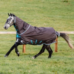 Horseware Amigo Bravo 12 Plus Weidedecke Disc-Verschluss, 250g 13 Horseware Amigo Bravo 12 Plus Weidedecke Disc-Verschluss, 250g -Weatherbeeta Shop 320368 DG TUB 2