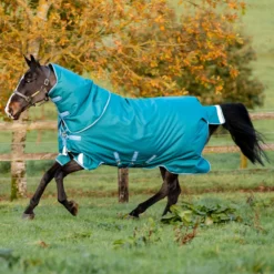 Horseware Amigo Bravo 12 Plus Weidedecke, 400g -Weatherbeeta Shop 320369 STGR 1