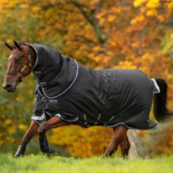 Horseware Amigo Bravo 12 Plus Winterdecke Mit Abnehmbarem Halsteil, 250g -Weatherbeeta Shop 320370 BL SGB BL 1
