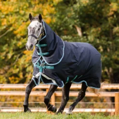 Horseware Amigo Bravo 12 Plus Winterdecke Mit Abnehmbarem Halsteil, 250g -Weatherbeeta Shop 320370 DB AB 2