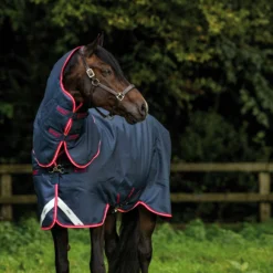 Horseware Amigo Bravo 12 Plus Winterdecke Mit Abnehmbarem Halsteil, 250g -Weatherbeeta Shop 320370 DB RE B 1