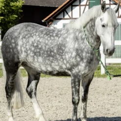 USG Halsring Soft -Weatherbeeta Shop 322868 BL GR 2