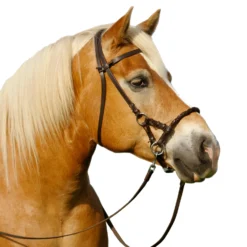 F.R.A. Pariba Sidepull (System 3) Mit Geflochtenem Nasenriemen, Inkl. Zügel -Weatherbeeta Shop 322922 BR 2