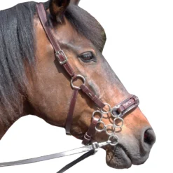 FRA Aram Hackamore (System 2) Leather, Jaw Straps, W/ Scissors -Weatherbeeta Shop 322944 DBR 1