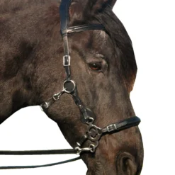 FRA Calli Hackamore (System 2) Mit Zügeln 9 FRA Calli Hackamore (System 2) Mit Zügeln -Weatherbeeta Shop 322945 BL 3