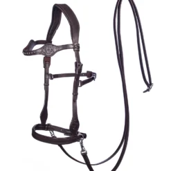FRA Dandy Sidepull (System 3) Leather, W/ Leather Clip Reins -Weatherbeeta Shop 322950 BR 1