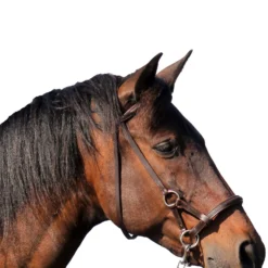 FRA Pardoes Sidepull (System 3) Leder Mit Anti Slip Zügeln -Weatherbeeta Shop 322960 BR 2