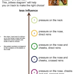 FRA Rebecca Sidepull (System 3) Mit Kristallen 9 FRA Rebecca Sidepull (System 3) Mit Kristallen -Weatherbeeta Shop 322962 BL 3