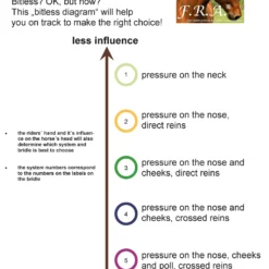 FRA Rebecca Sidepull (System 3) Mit Kristallen 11 FRA Rebecca Sidepull (System 3) Mit Kristallen -Weatherbeeta Shop 322962 BR 2