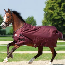 Kavalkade Weidedecke Alaska IV Fleece -Weatherbeeta Shop 325392 DRE 1