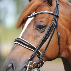 Kavalkade Kandare Antonia, Schwed. RH, W 7 Kavalkade Kandare Antonia, Schwed. RH, W -Weatherbeeta Shop 325397 BL WH PNT 2