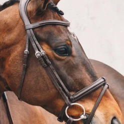 Schockemöhle Tokyo Select Trense 10 Schockemöhle Tokyo Select Trense -Weatherbeeta Shop 326309 DBR SI 2