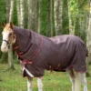 Horseware Amigo Bravo 12 Plus Regendecke Mit Abnehmbarem Halsteil, 100g 1 Horseware Amigo Bravo 12 Plus Regendecke Mit Abnehmbarem Halsteil, 100g -Weatherbeeta Shop 326984 BR RE GO 1