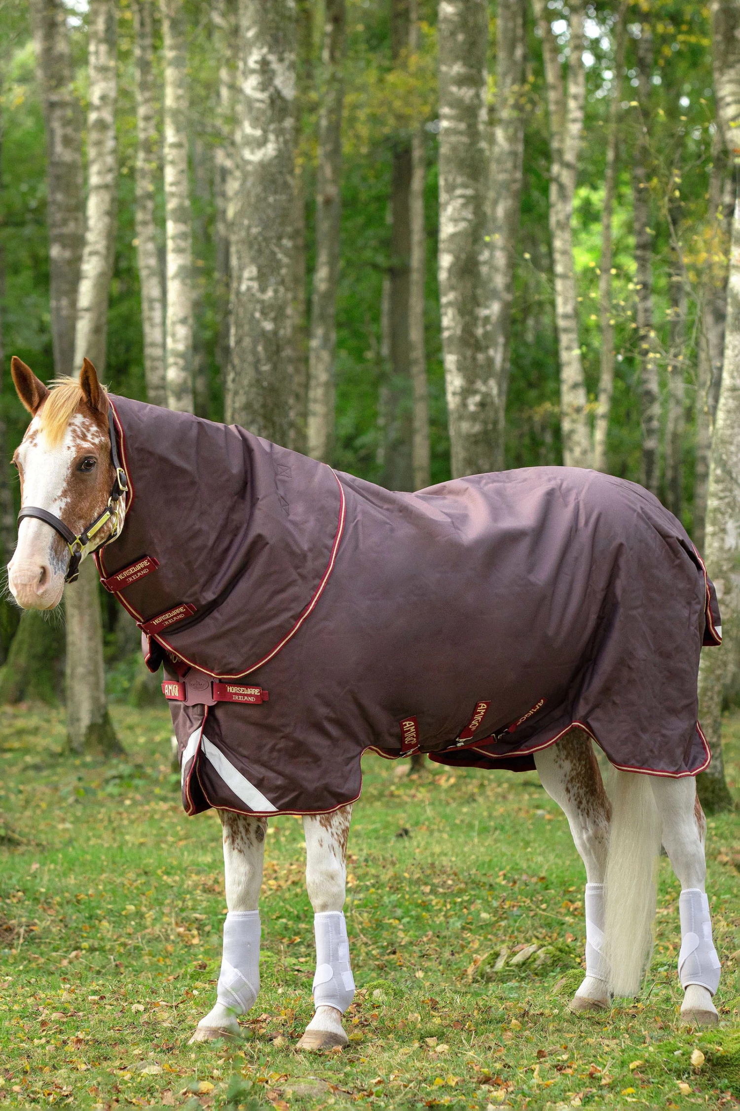 Horseware Amigo Bravo 12 Plus Regendecke Mit Abnehmbarem Halsteil, 100g 3 Horseware Amigo Bravo 12 Plus Regendecke Mit Abnehmbarem Halsteil, 100g