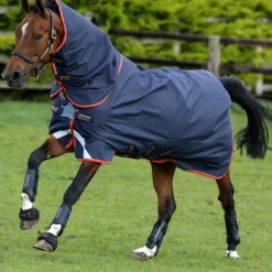 Horseware Amigo Bravo 12 Plus Regendecke Mit Abnehmbarem Halsteil, 100g 13 Horseware Amigo Bravo 12 Plus Regendecke Mit Abnehmbarem Halsteil, 100g -Weatherbeeta Shop 326984 DB GO RE 1