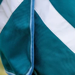 Horseware Amigo Bravo 12 Plus Regendecke Mit Abnehmbarem Halsteil, 100g 18 Horseware Amigo Bravo 12 Plus Regendecke Mit Abnehmbarem Halsteil, 100g -Weatherbeeta Shop 326984 STGR 5