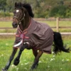 Horseware Amigo Bravo Disc Regendecke, 0g -Weatherbeeta Shop 326986 BR RE GO 1