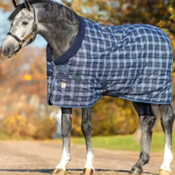 Horseware Rhino Original Vari-Layer Stalldecke, 250g 7 Horseware Rhino Original Vari-Layer Stalldecke, 250g -Weatherbeeta Shop 327016 MDB IDB 1
