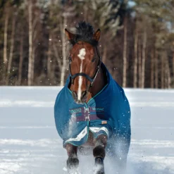 Horseware Rhino Original Vari-Layer Winterdecke, 250g 9 Horseware Rhino Original Vari-Layer Winterdecke, 250g -Weatherbeeta Shop 327018 DB G AB 2