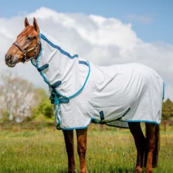 Horseware Amigo Aussie Allrounder Disc Fliegendecke Mit Abnehmbarem Halsteil 11 Horseware Amigo Aussie Allrounder Disc Fliegendecke Mit Abnehmbarem Halsteil -Weatherbeeta Shop 329269 DB EB 1