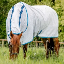 Horseware Amigo Aussie Allrounder Disc Fliegendecke Mit Abnehmbarem Halsteil 13 Horseware Amigo Aussie Allrounder Disc Fliegendecke Mit Abnehmbarem Halsteil -Weatherbeeta Shop 329269 DB EB 3
