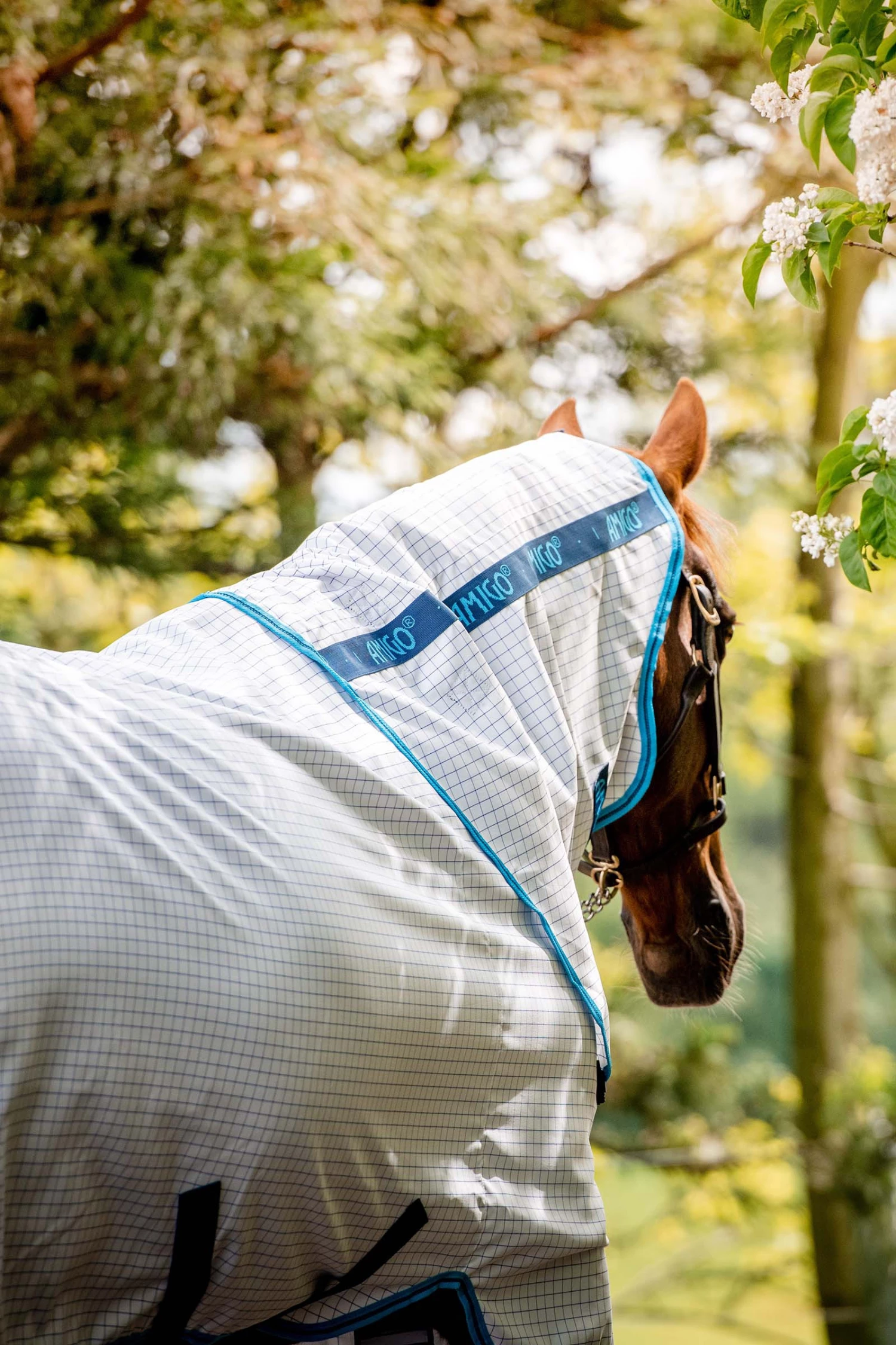 Horseware Amigo Aussie Allrounder Disc Fliegendecke Mit Abnehmbarem Halsteil 8 Horseware Amigo Aussie Allrounder Disc Fliegendecke Mit Abnehmbarem Halsteil – Bild 6