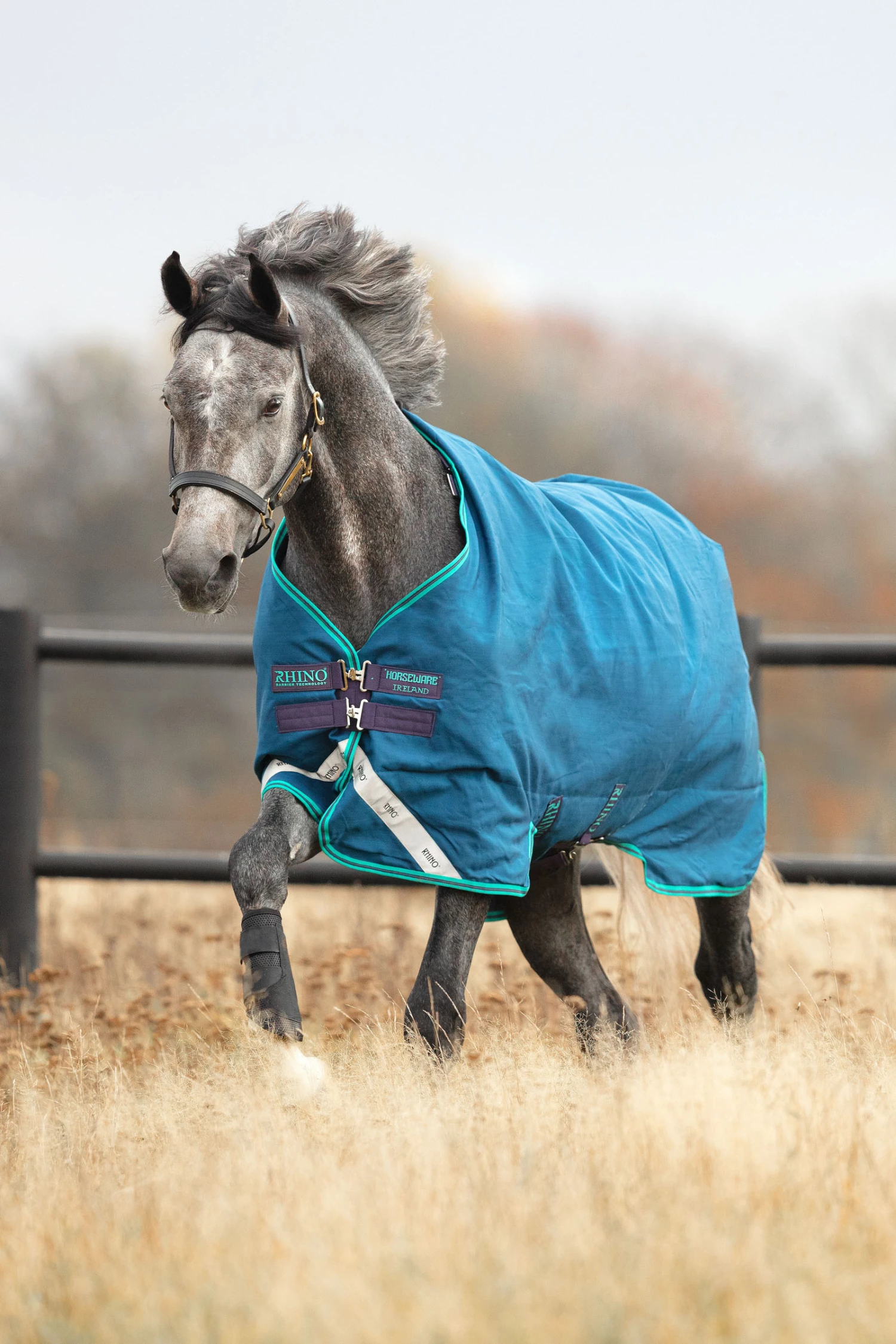 Horseware Rhino Original Regendecke, 0g 4 Horseware Rhino Original Regendecke, 0g – Bild 2