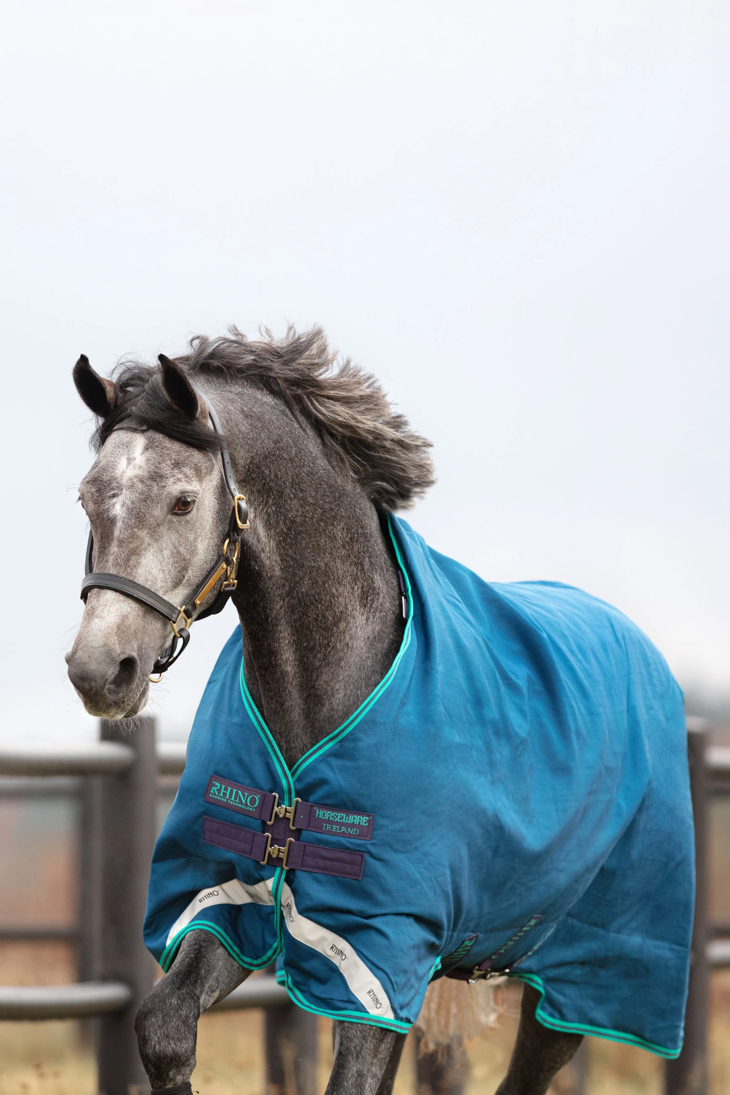 Horseware Rhino Original Regendecke, 0g 5 Horseware Rhino Original Regendecke, 0g – Bild 3