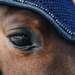 Kentucky Horsewear Wellington Glitter Soundless Fliegenhaube -Weatherbeeta Shop 329945 DB 2