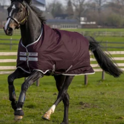 Horseware Amigo Hero Ripstop Regendecke, 50g -Weatherbeeta Shop 331254 FPU SI 2