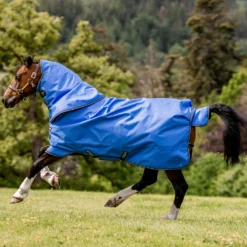 Horseware Amigo Hero Ripstop Plus Regendecke Mit Abnehmbarem Halsteil, 100g 12 Horseware Amigo Hero Ripstop Plus Regendecke Mit Abnehmbarem Halsteil, 100g -Weatherbeeta Shop 331255 B DB G 01
