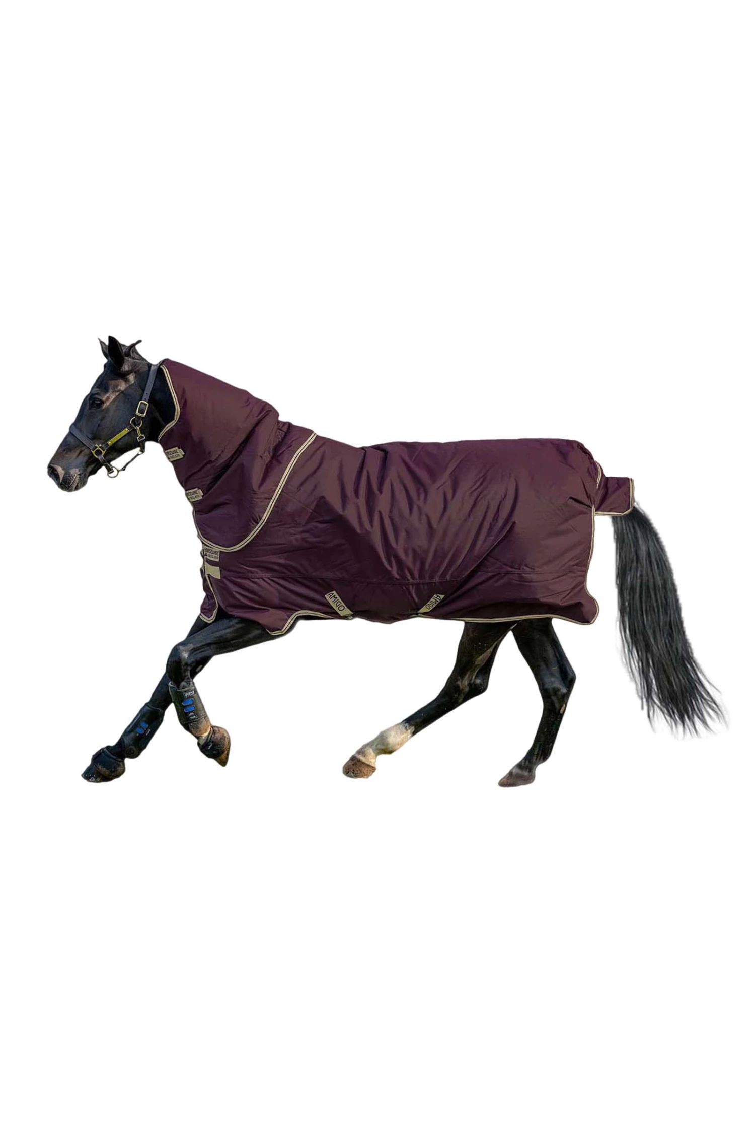 Horseware Amigo Hero Ripstop Plus Regendecke Mit Abnehmbarem Halsteil, 100g 4 Horseware Amigo Hero Ripstop Plus Regendecke Mit Abnehmbarem Halsteil, 100g – Bild 2