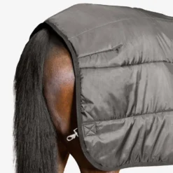 Back On Track Felix Unterdecke, 200g -Weatherbeeta Shop 331622 BL 4