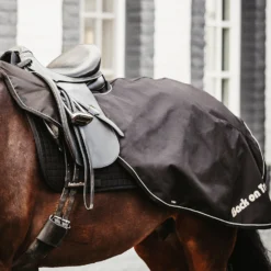 Back On Track Sammy Ausreitdecke, 50g -Weatherbeeta Shop 331628 BL 4