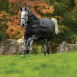 Horseware Amigo Bravo 12 Reflective Plus Winterdecke Mit Abnehmbarem Halsteil, 250g -Weatherbeeta Shop 332730 BL REF BL 3