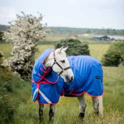 Horseware Amigo Bravo 12 Reflective Plus Winterdecke Mit Abnehmbarem Halsteil, 250g -Weatherbeeta Shop 332730 B PI 5