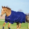 Horseware Amigo Hero 900 T/O Med Winterdecke, 200g 2 Horseware Amigo Hero 900 T/O Med Winterdecke, 200g -Weatherbeeta Shop 332736 AB IWH 1
