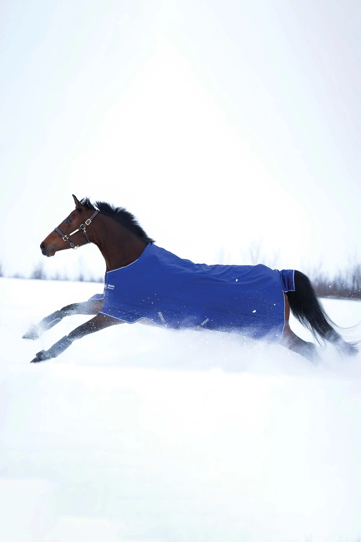 Horseware Amigo Hero 900 T/O Med Winterdecke, 200g 4 Horseware Amigo Hero 900 T/O Med Winterdecke, 200g – Bild 2